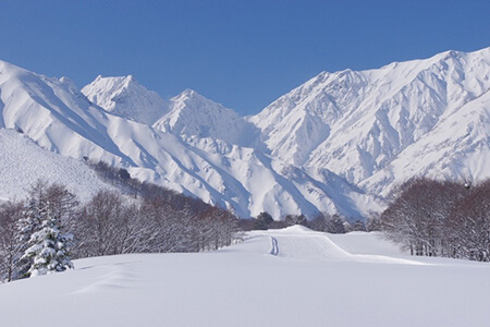 日本屈指のビッグゲレンデとして知られる八方尾根スキー場。