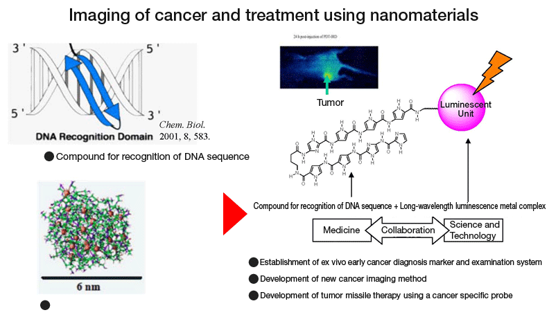 Imaging of cancer and treatment using nanomaterials