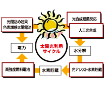 太陽光利用サイクル