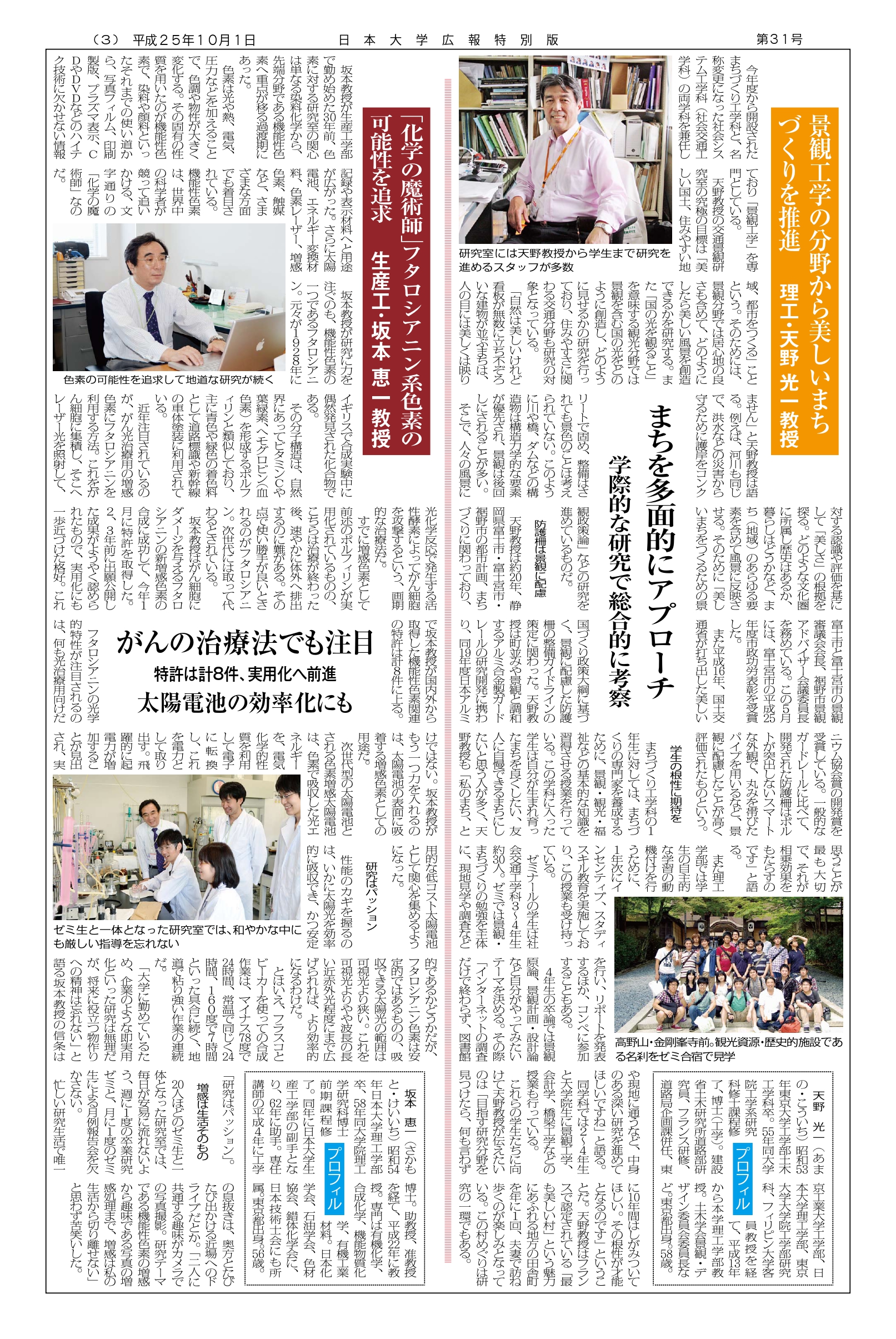 第31号第3面