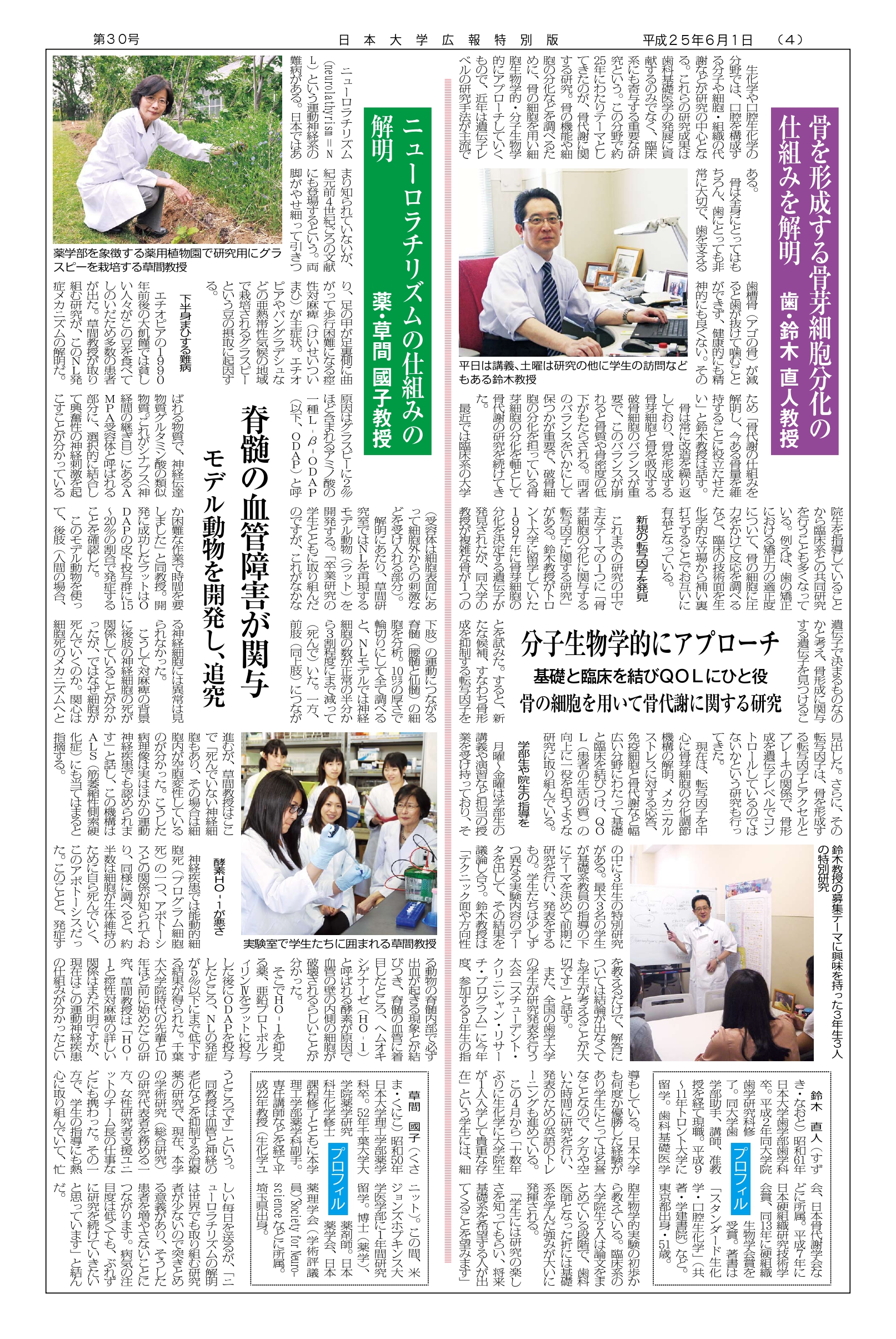 第30号第4面