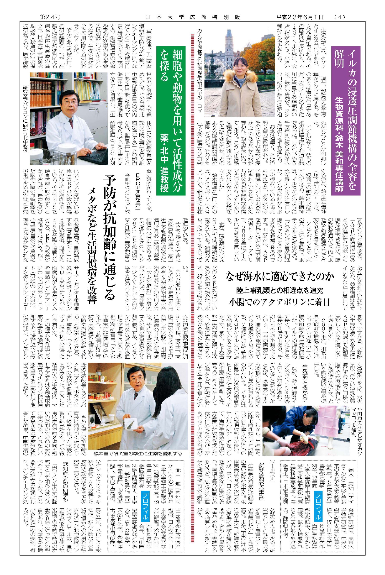 第24号第4面