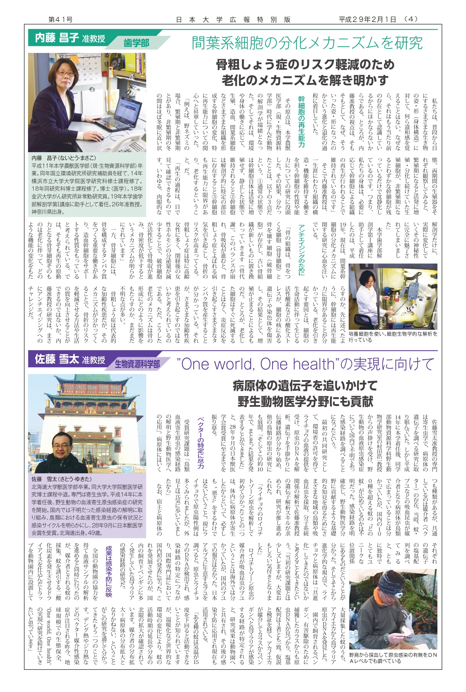 第41号第4面