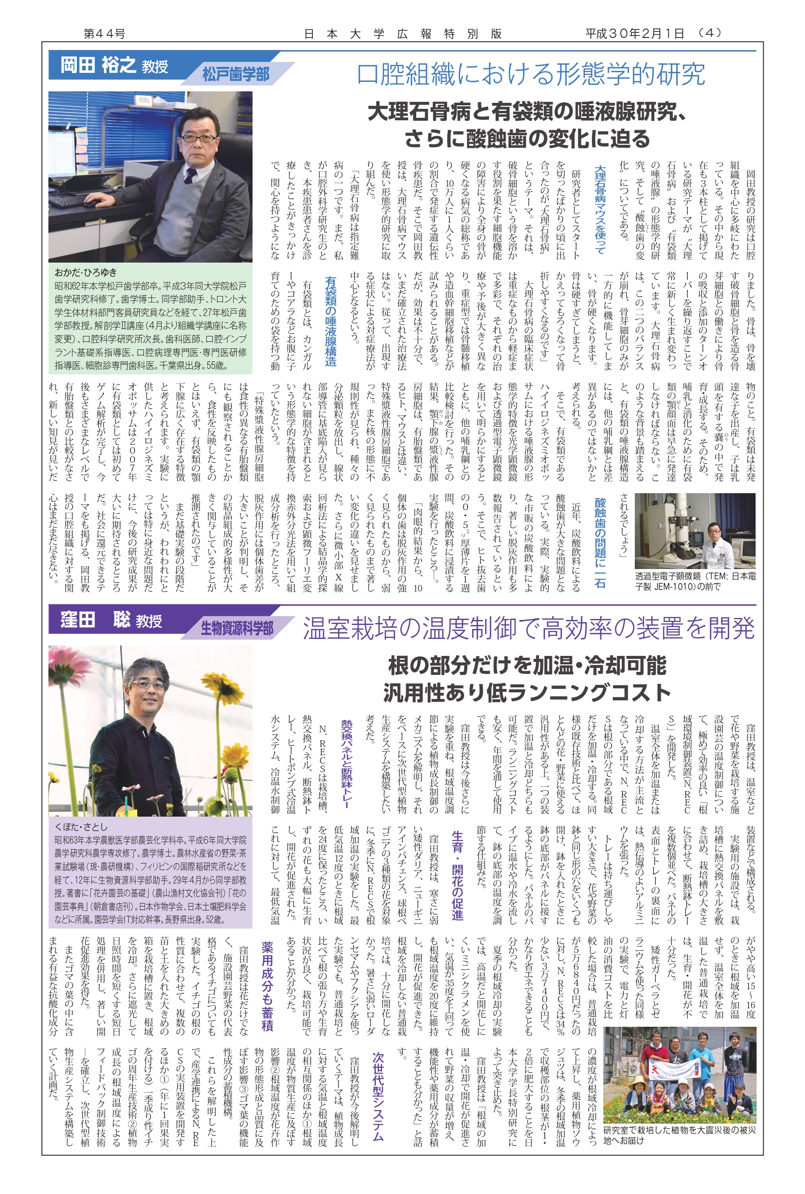 第44号第4面