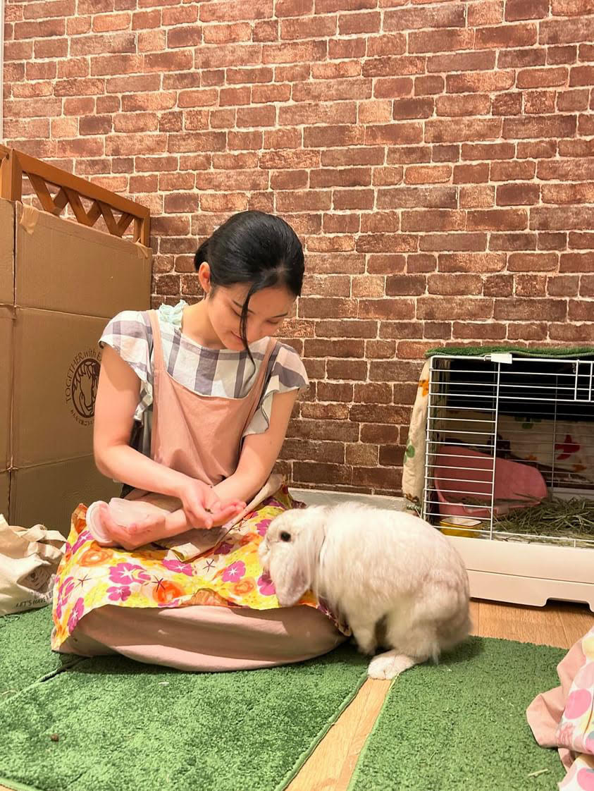 動物カフェ