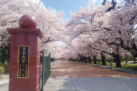 工学部の正門と桜並木