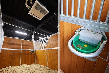 従来に比べ約1.5倍ほど広い 馬房には、自動給水装置や専用エアコンが設置されている。
